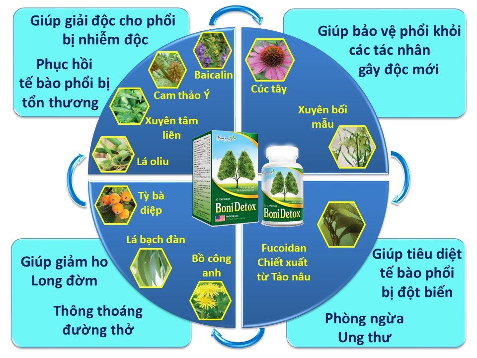 BoniDetox là sự kết hợp hoàn haori của các thảo dược tự nhiên